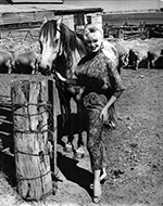 Sabrina at Toolern Valley 1959, with horse and sheep